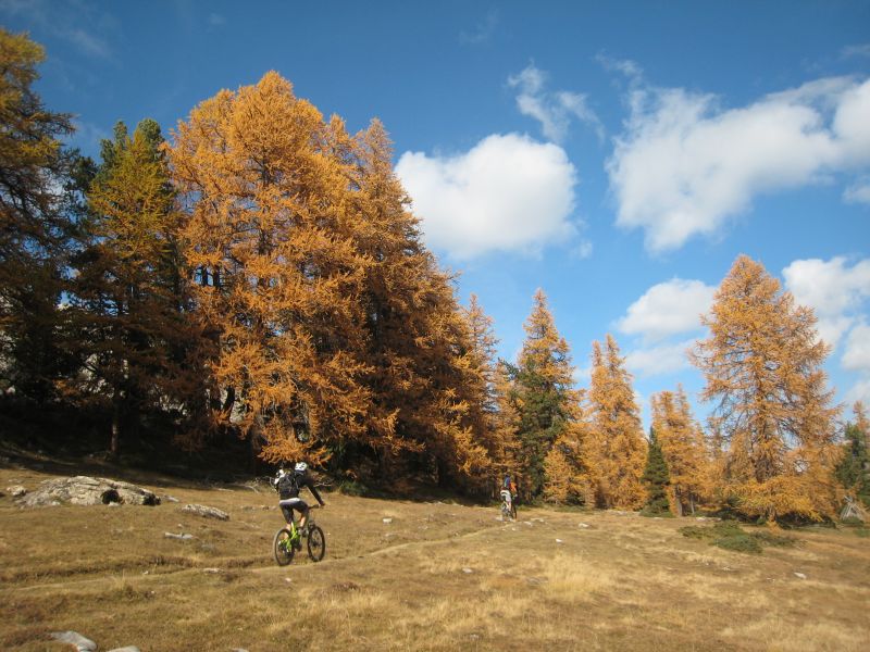 #2 Automnal : Mélèzes orangés, sortie validée ! Automnal : Mélèzes orangés, sortie validée !
