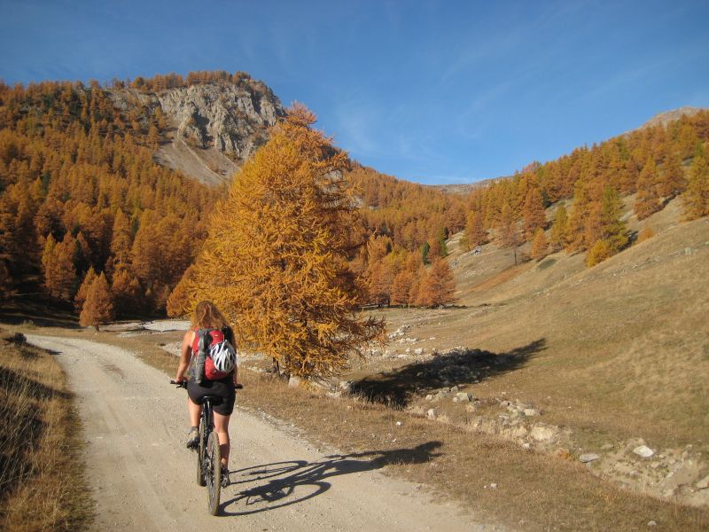 #2 Au milieu des mélèzes : Une Maud flamboyante ! Au milieu des mélèzes : Une Maud flamboyante !