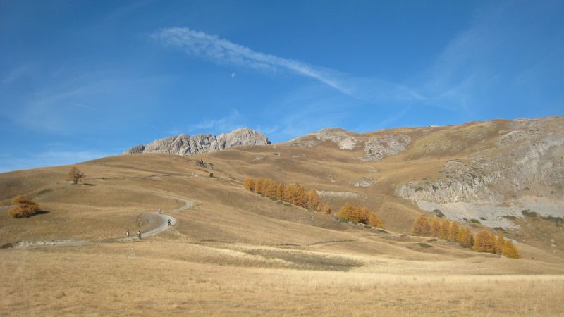 #4 ça se dénude... : Un bon coup de cul, mais c ça se dénude... : Un bon coup de cul, mais c'est le dernier.