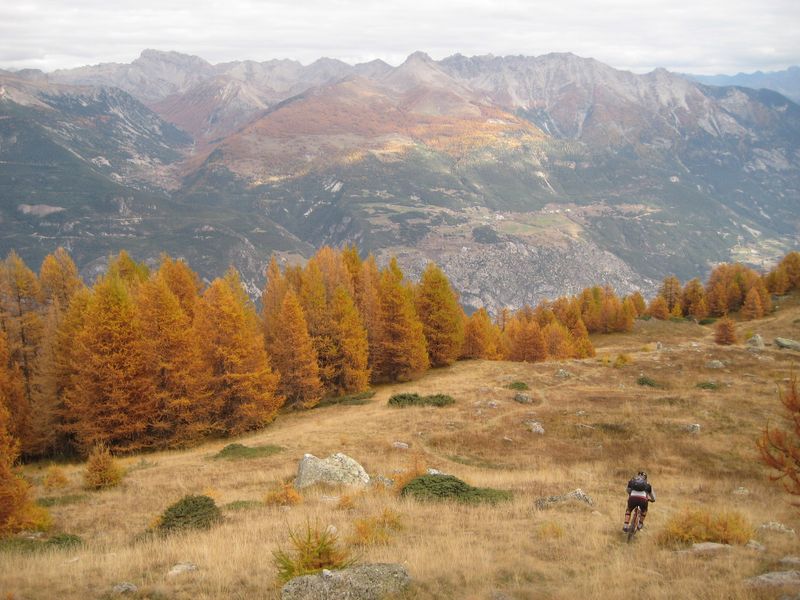#2 Prairie : C Prairie : C'est flamboyant de partout !
