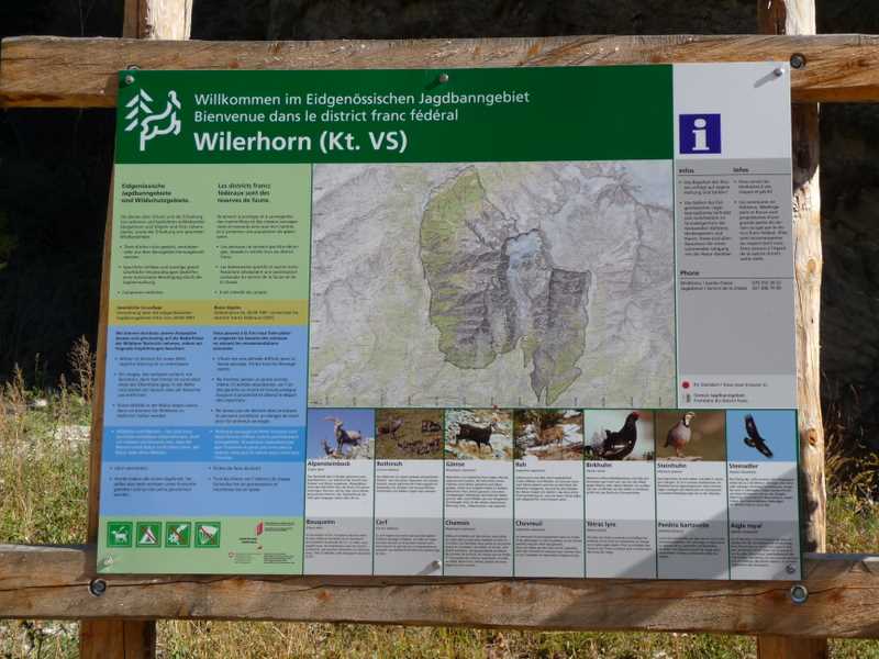 #11 Jolital/Bietschtal : La preuve que cette région n Jolital/Bietschtal : La preuve que cette région n'est pas interdite au VTT, même si certains autres panneaux disent le contraire