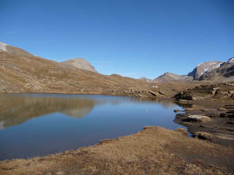 Col du Rawyl : Plan des Roses sous le col du Rawyl