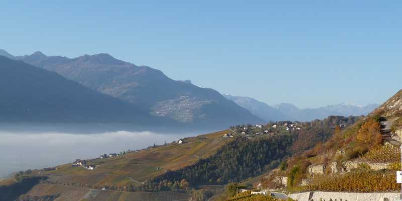 Vallée du Rhône : Départ dans les vignes. Le massif du Mt Blanc pointe son nez dans le fond.