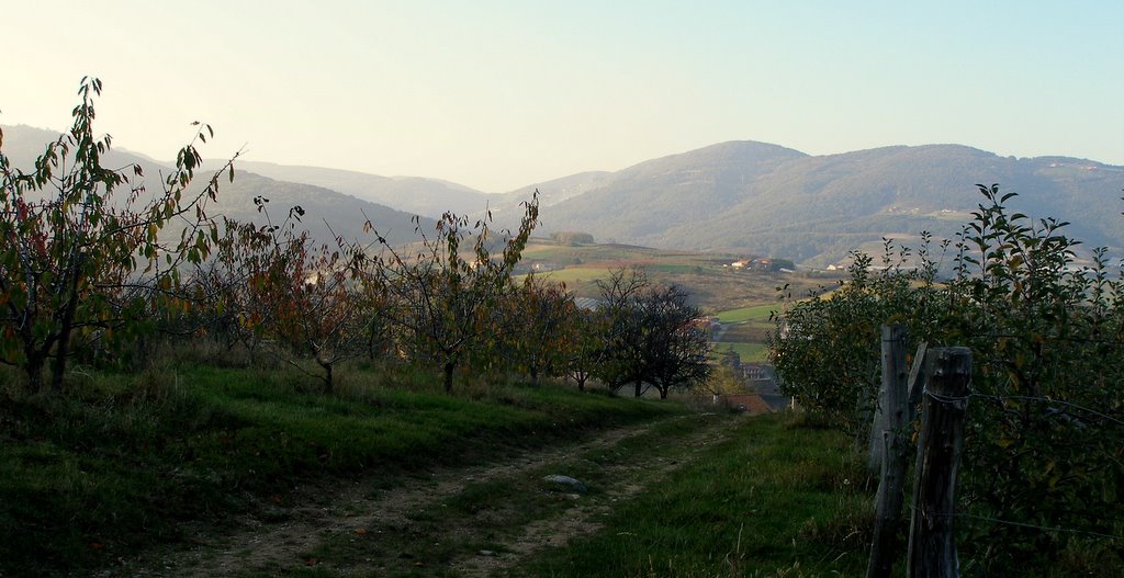 Monts du Lyonnais : Sur le chemin de St Jacques de Compostelle