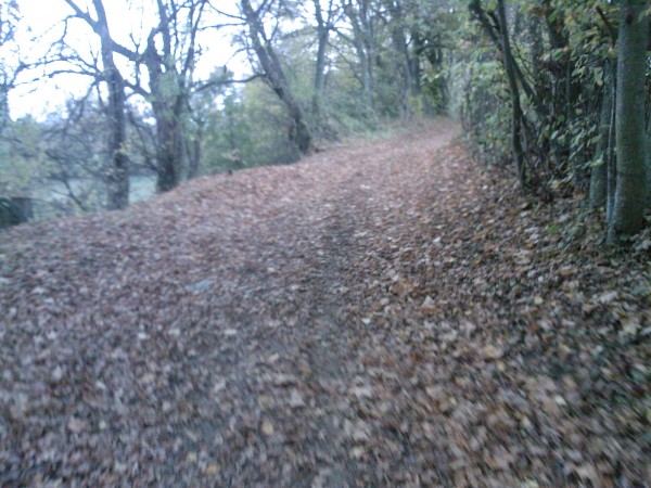 #1 chemin : sentier d chemin : sentier d'automne