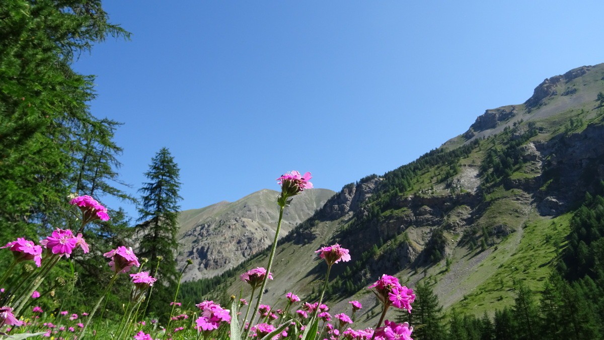 sentier bucolique