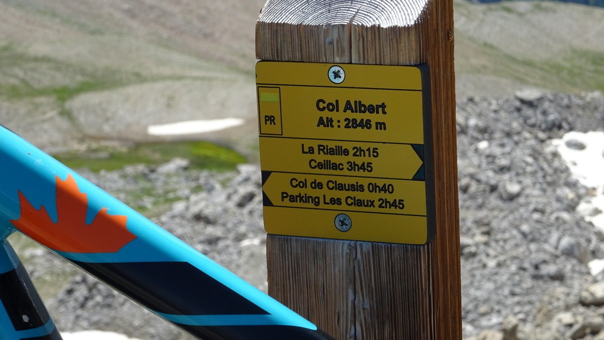 #11 col Albert col Albert