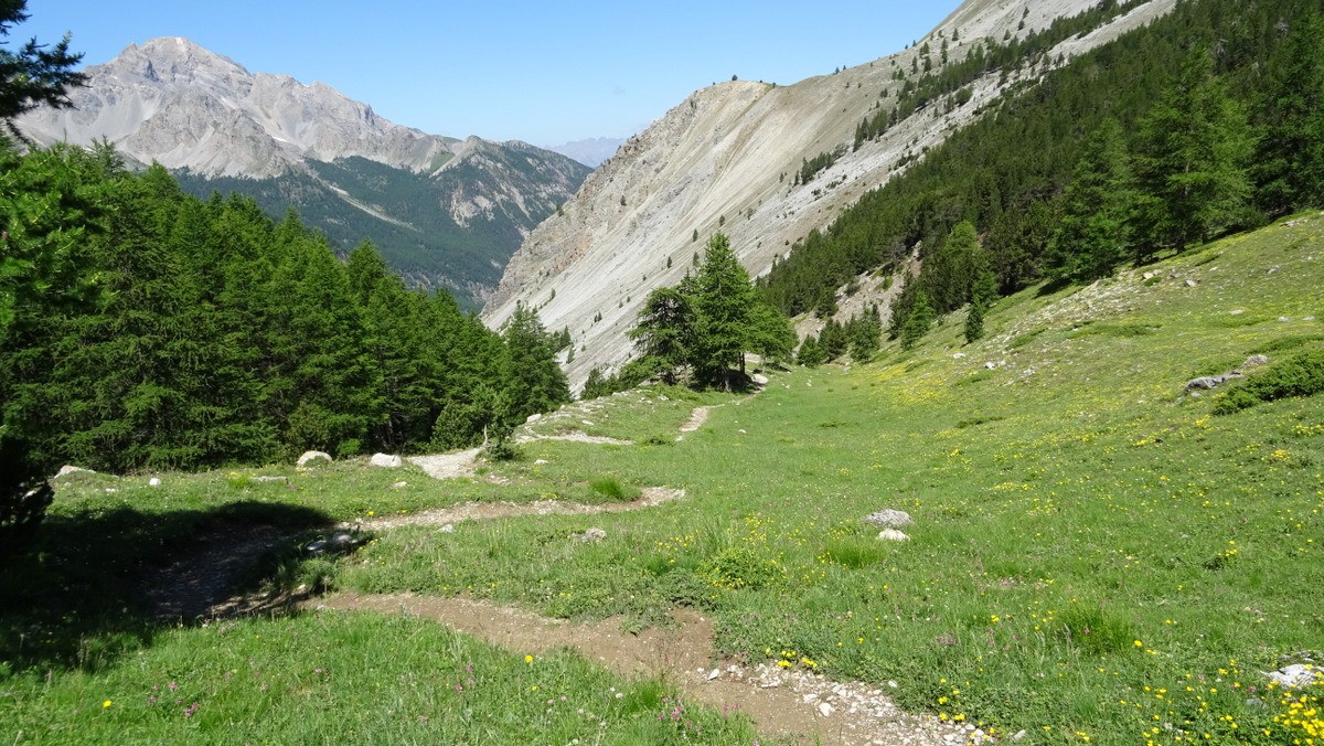 vallon d'Albert en aval