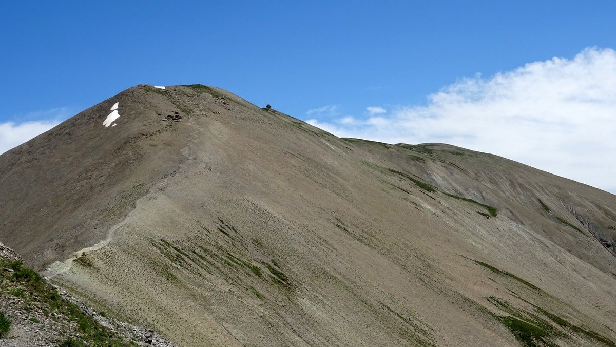 #12 Tête de Girardin pour une autre fois Tête de Girardin pour une autre fois