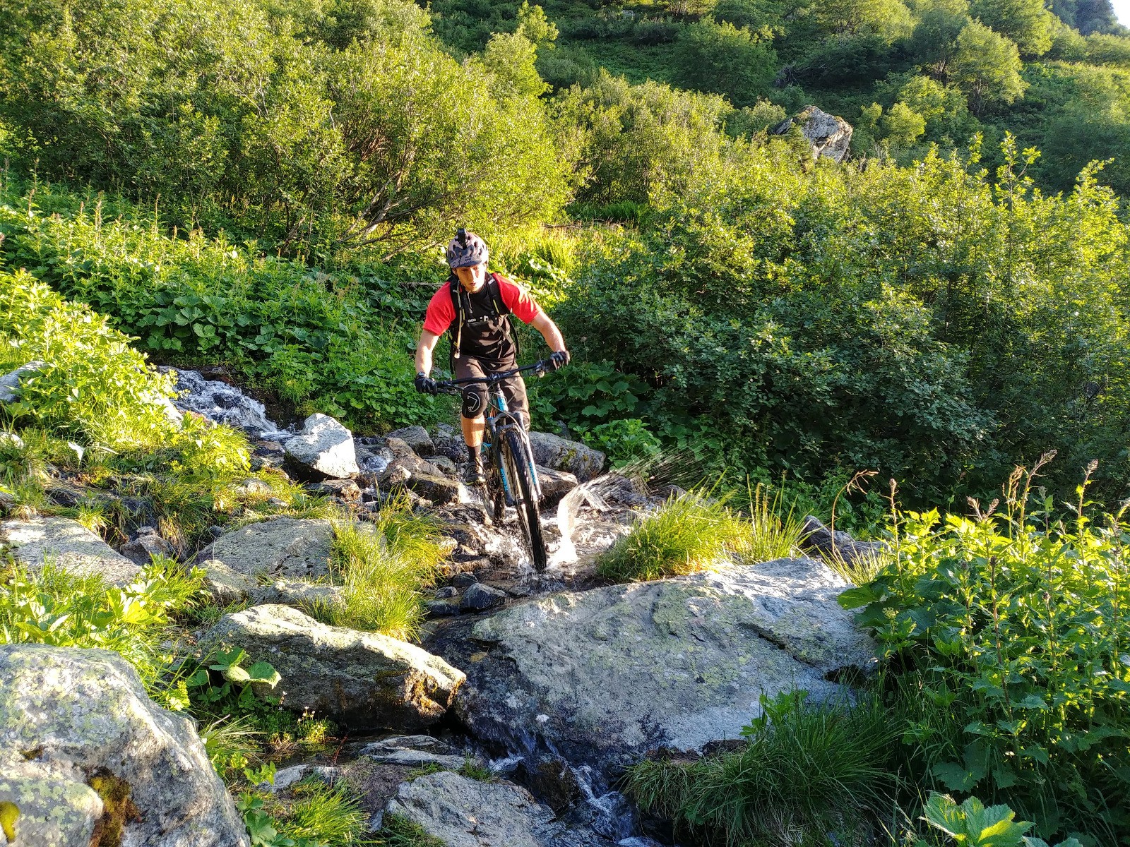 #10 Rafraîchissant ce sentier d Rafraîchissant ce sentier d'Armancette !