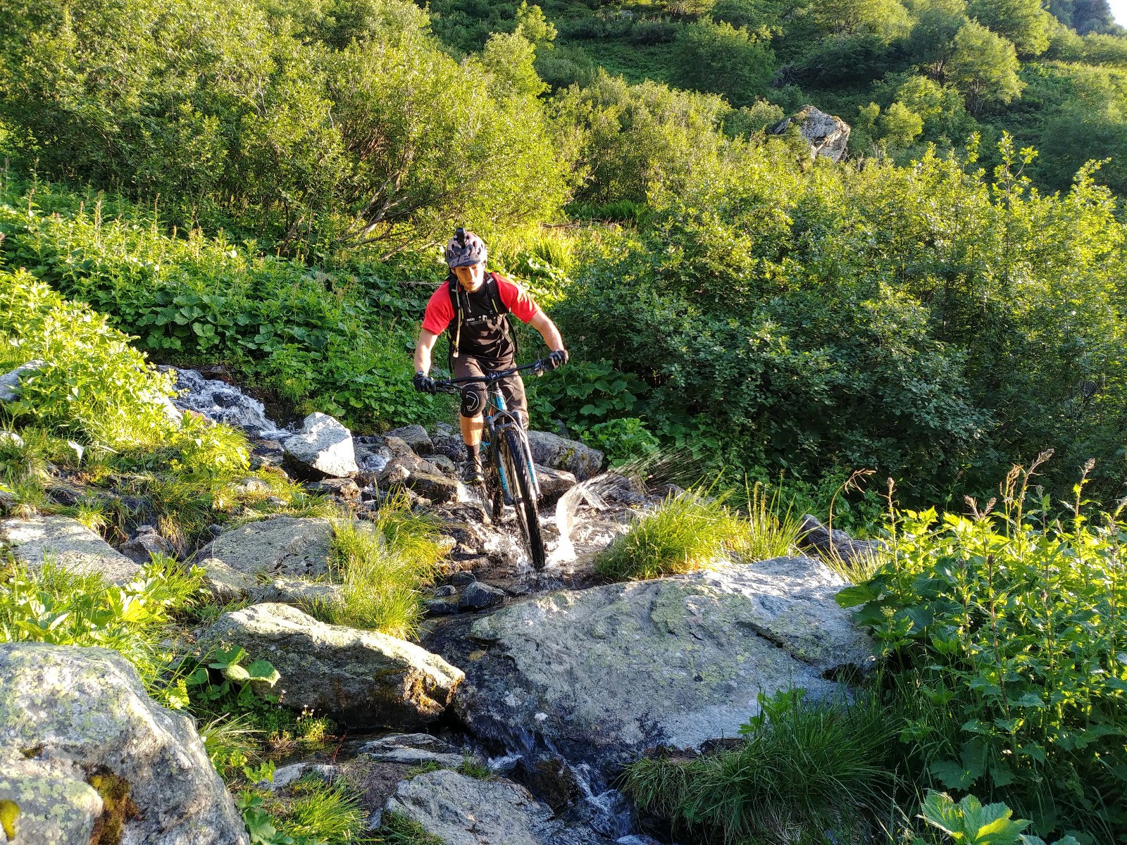 Rafraîchissant ce sentier d'Armancette !