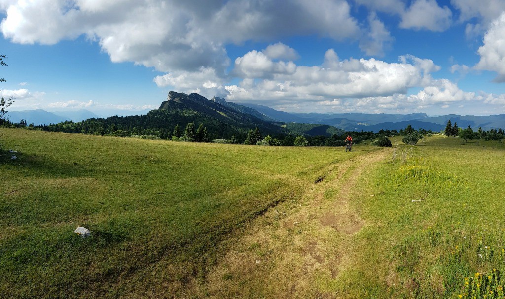 Plateau des ramées