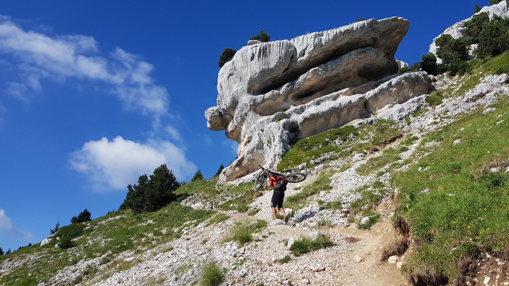 #6 Folatière Folatière