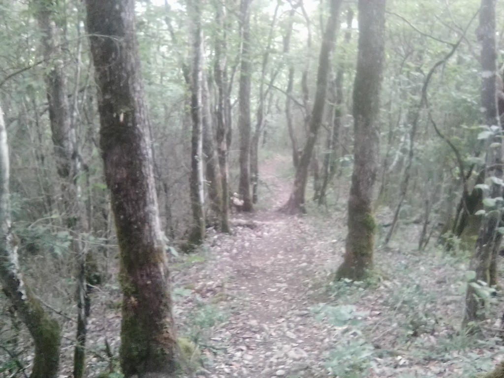 #6 Je vais pas tarder à m Je vais pas tarder à m'en coller une !