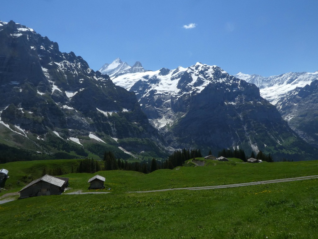 #5 Finsteraarhorn en descendant sur Grindelwald Finsteraarhorn en descendant sur Grindelwald
