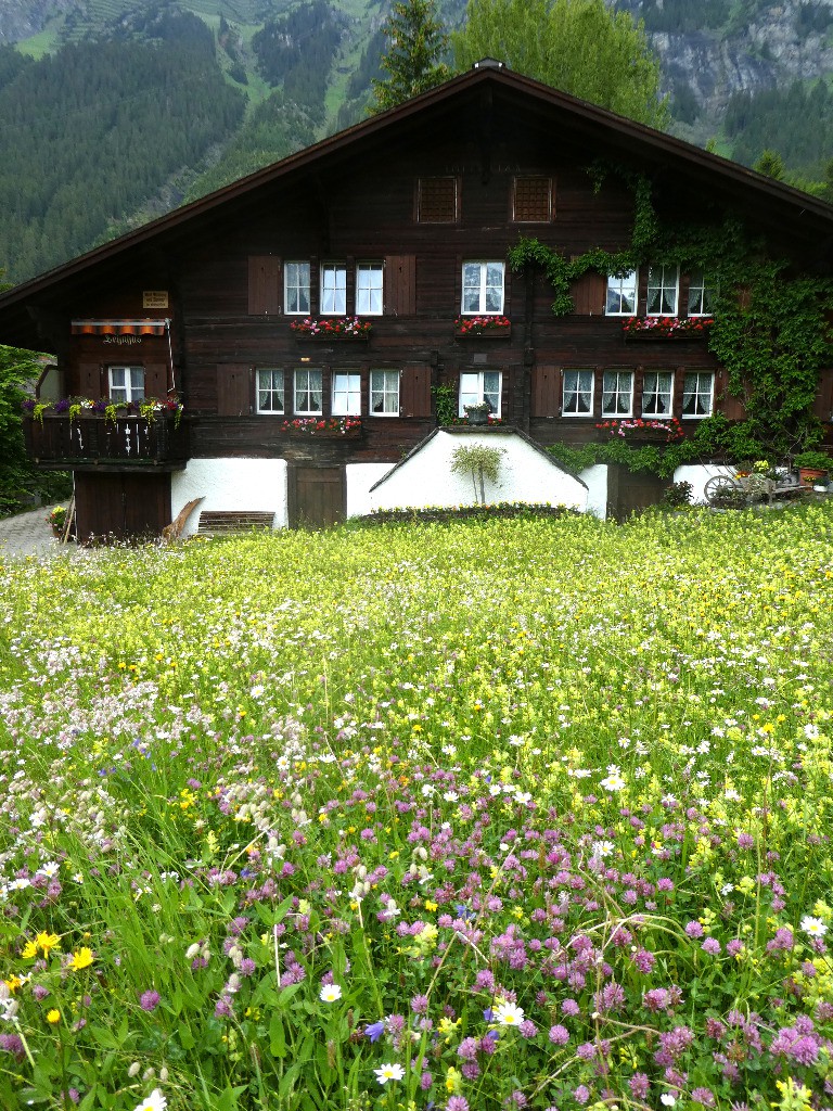 Wengen