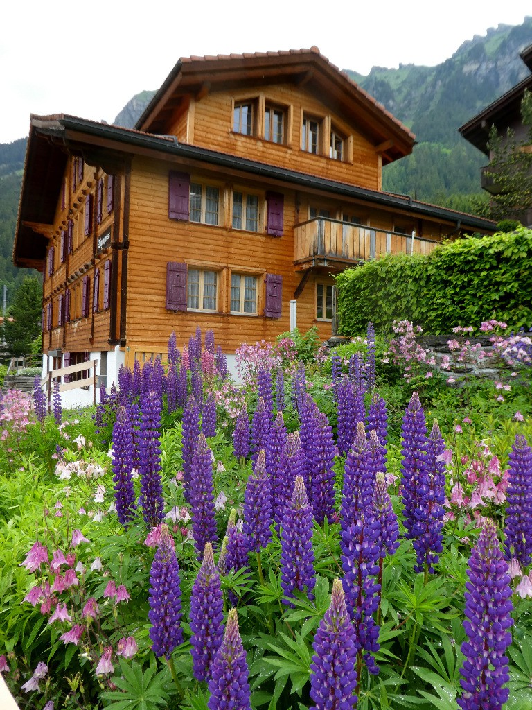 #11 Wengen Wengen