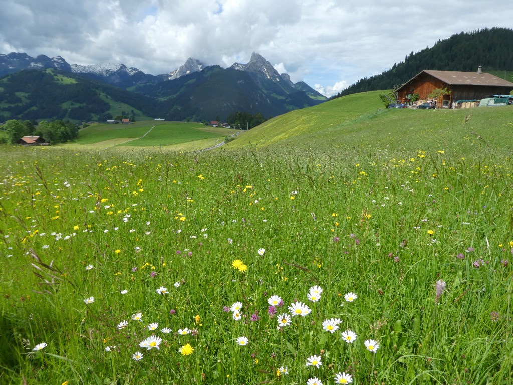 Un peu avant Gstaad