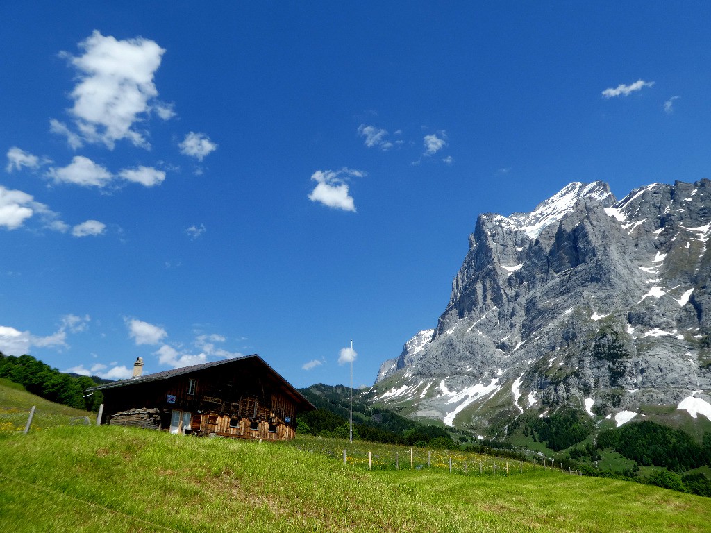 Wetterhorn