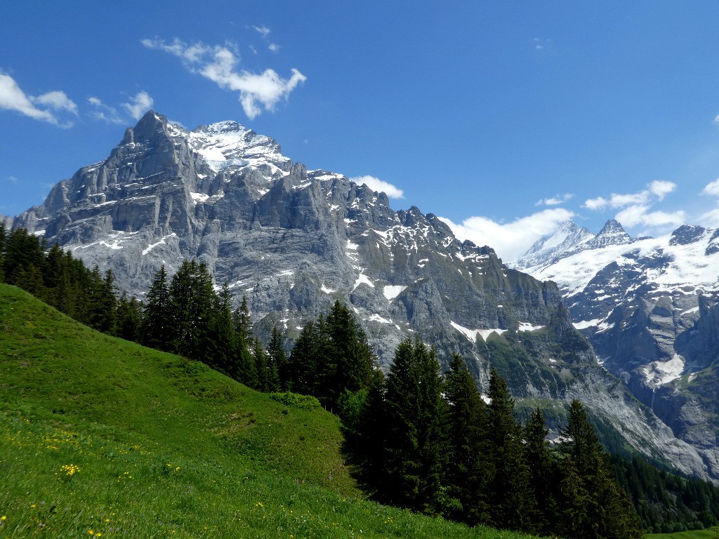 Wetterhorn