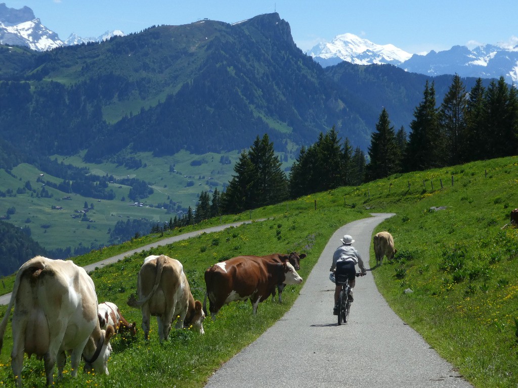 Mont Blanc en arrivant vers Leysin