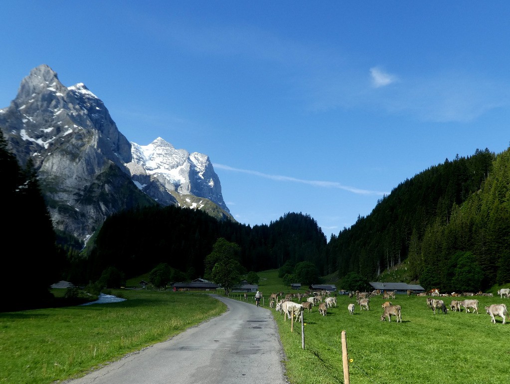 Rosenlaui et Wetterhorn