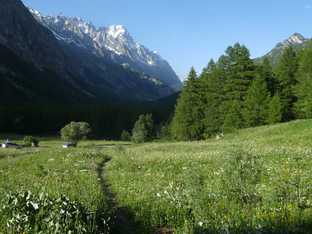 Grandes Jorasses depuis le Val Veny