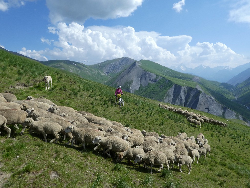 Descente sous bonne gardedu col des Prés Nouveaux 