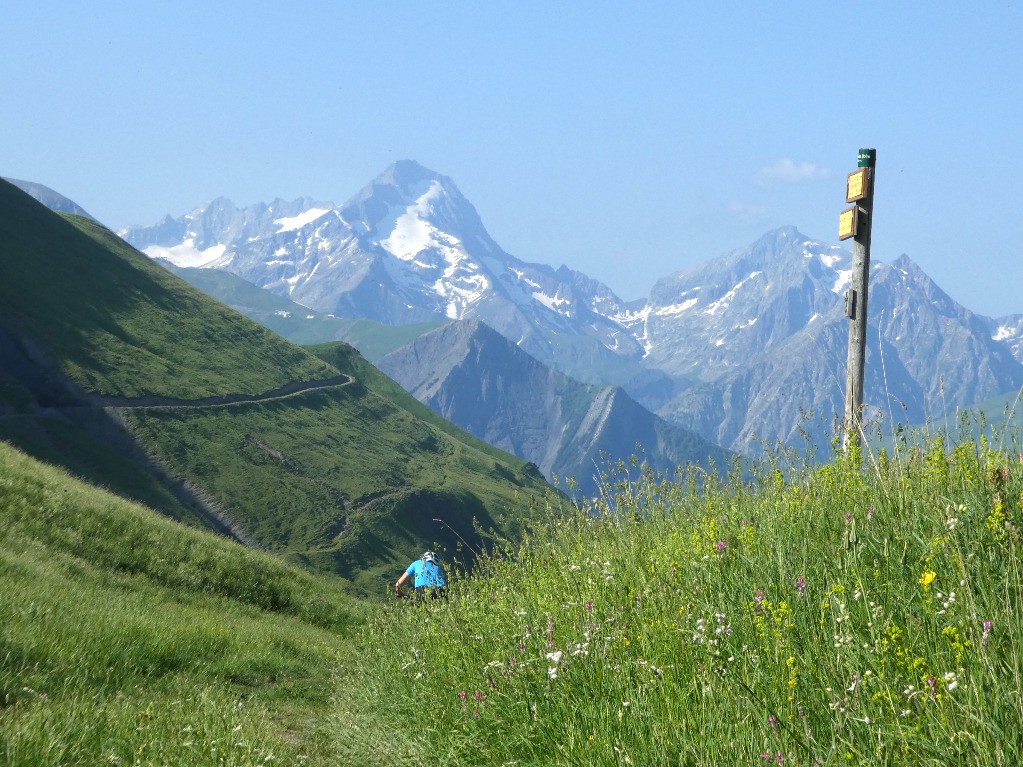 La Muzelle un peu avant Besse