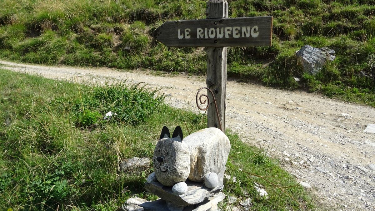 #2 chat cairn chat cairn