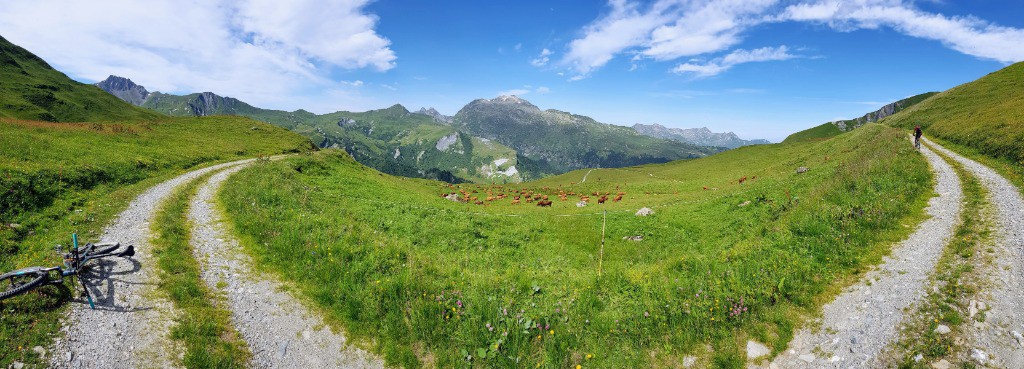 Rotondité du chemin...