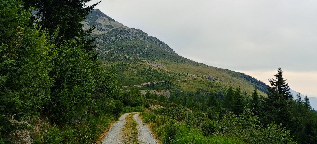 #1 Chalets e Loriaz en vue Chalets e Loriaz en vue