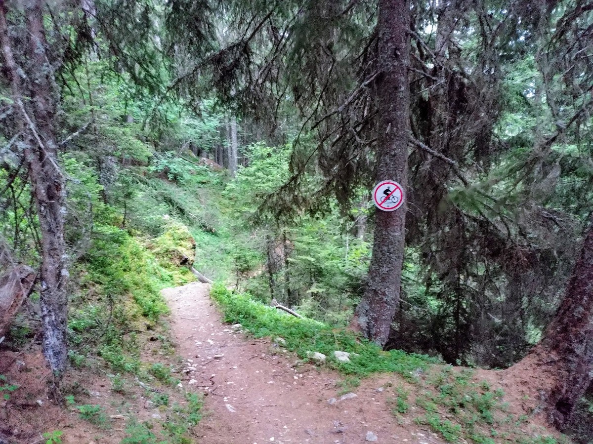 Interdiction côté station de Vallorcine (la piste DH passant à côté)