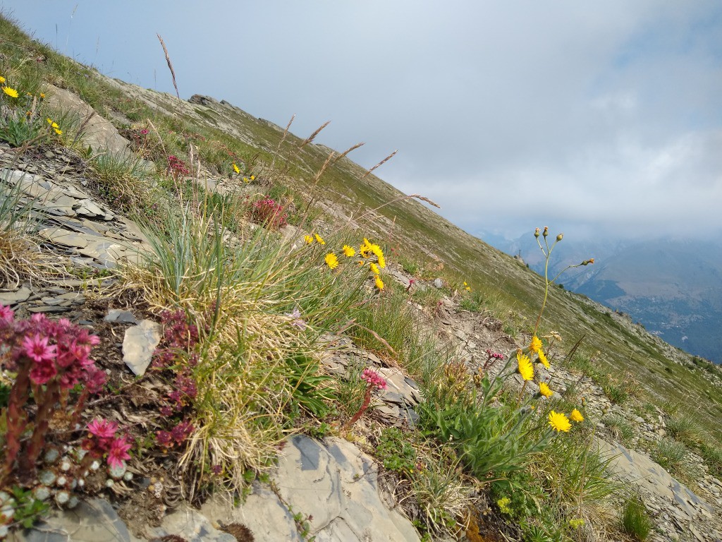 #29 J5 - Casse Massion J5 - Casse Massion