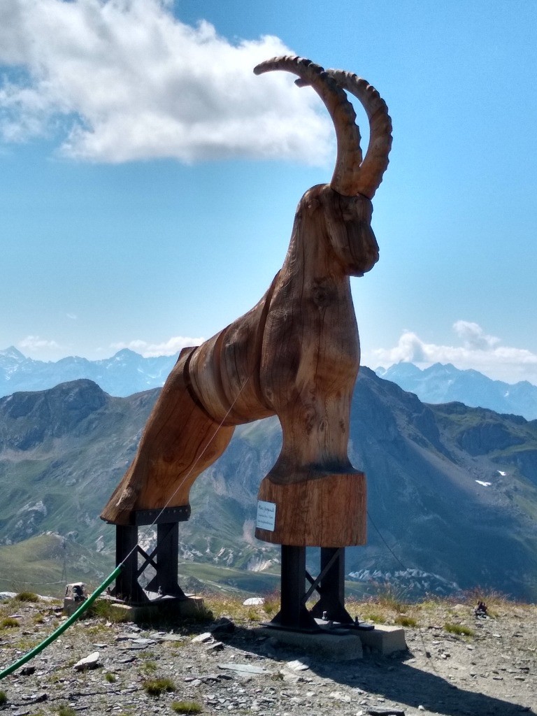 #38 J6 - J J6 - J'aurais vu au moins 1 bouquetin !