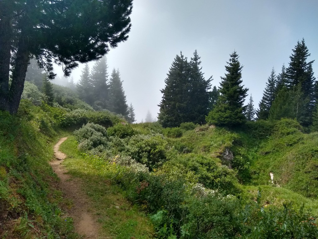 Départ du Col de la Dent