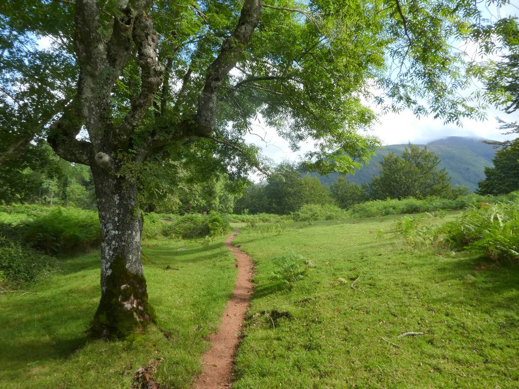 #63 Jour 15: vers Besagarko Borda (quelque part au Pays Basque); le soleil revient... Jour 15: vers Besagarko Borda (quelque part au Pays Basque); le soleil revient...