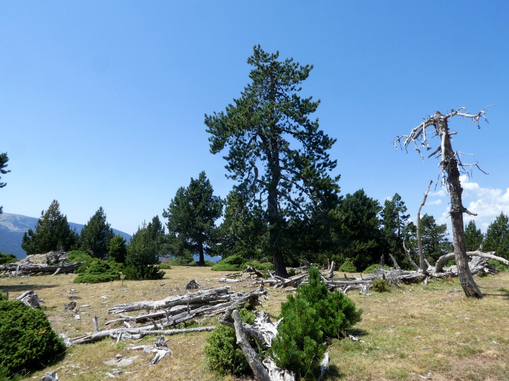 #17 Jour 6 : coll de Cap de Urdossa Jour 6 : coll de Cap de Urdossa
