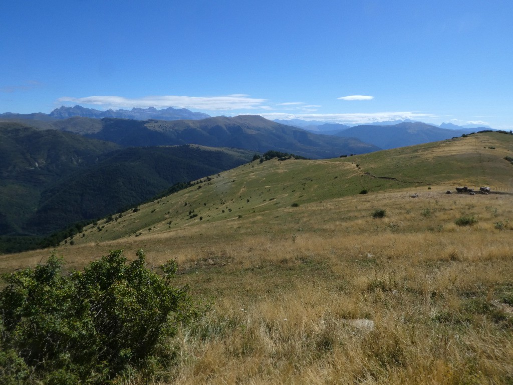 #49 Jour 12: Mont Perdu depuis la Pena Oturia Jour 12: Mont Perdu depuis la Pena Oturia