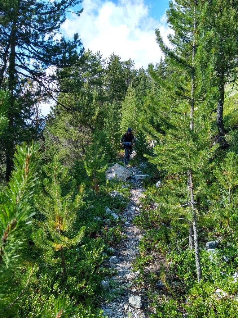 J1 - sentier végétal, vers les Grangettes