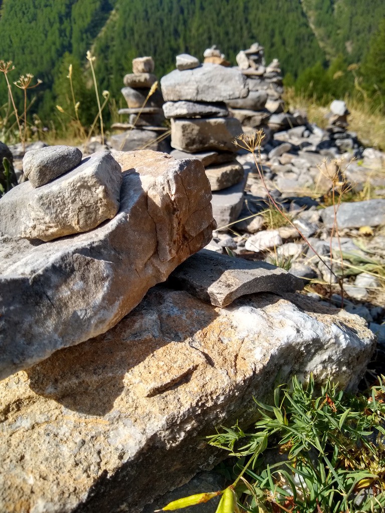 #37 J3 J3
