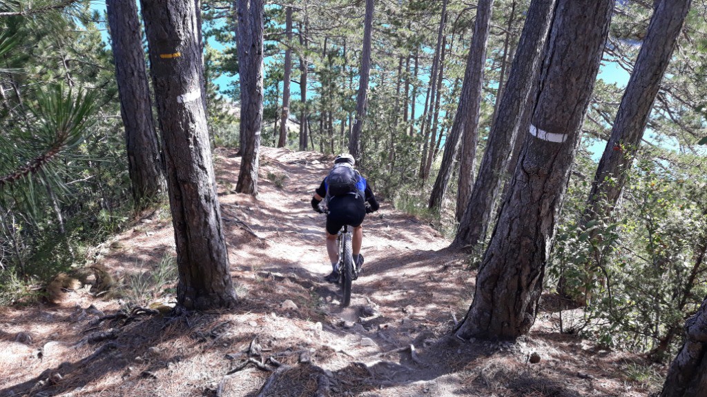 #5 Pret pour le plongeon dans le lac Pret pour le plongeon dans le lac