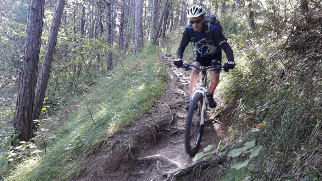 #4 Luc au passage mode racine
Luc au passage mode racine