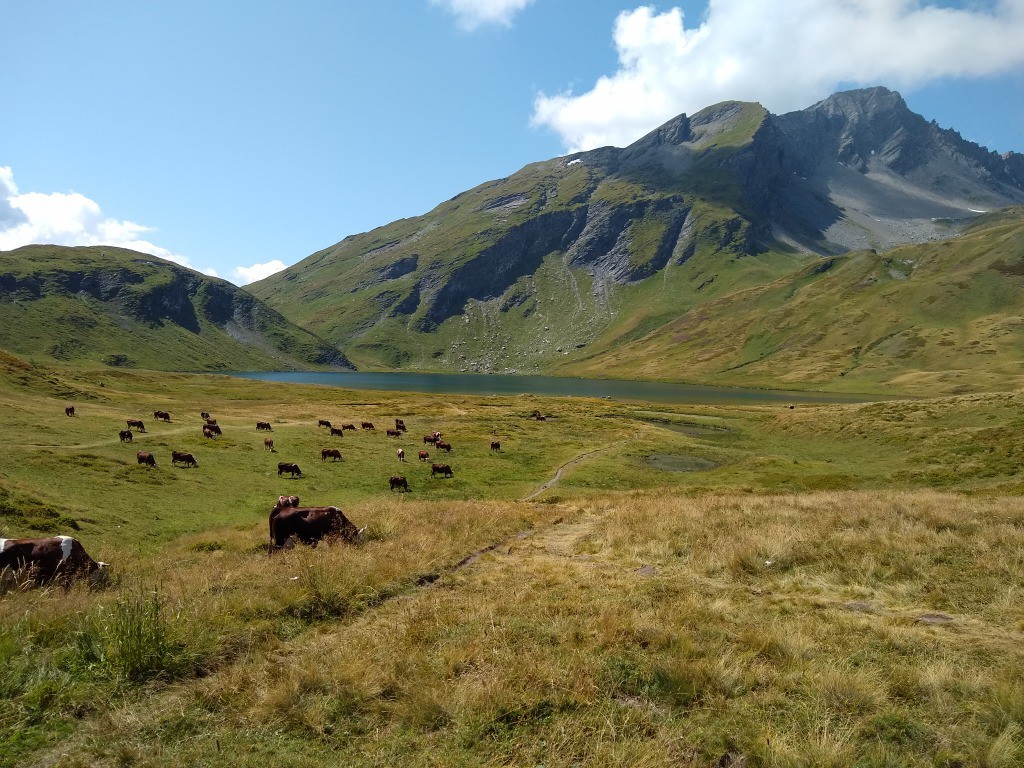 #3 Lac du Verney Lac du Verney