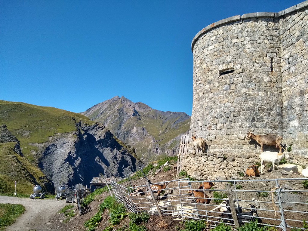 Fort de la Platte et Pte de la Terrasse