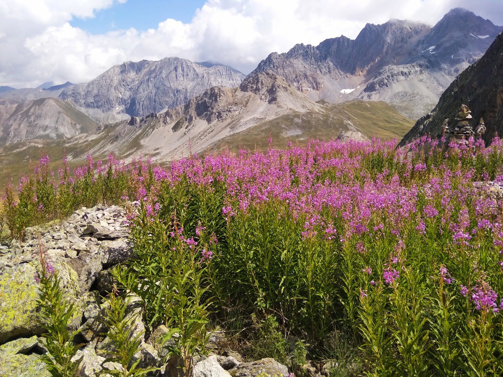 LAC ROND de fleurs. LAC ROND  de douceurs