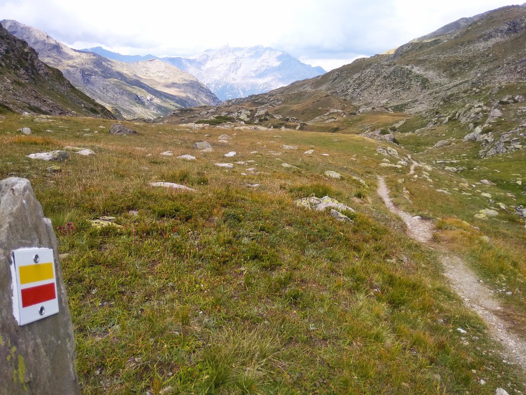 chemin bleu...