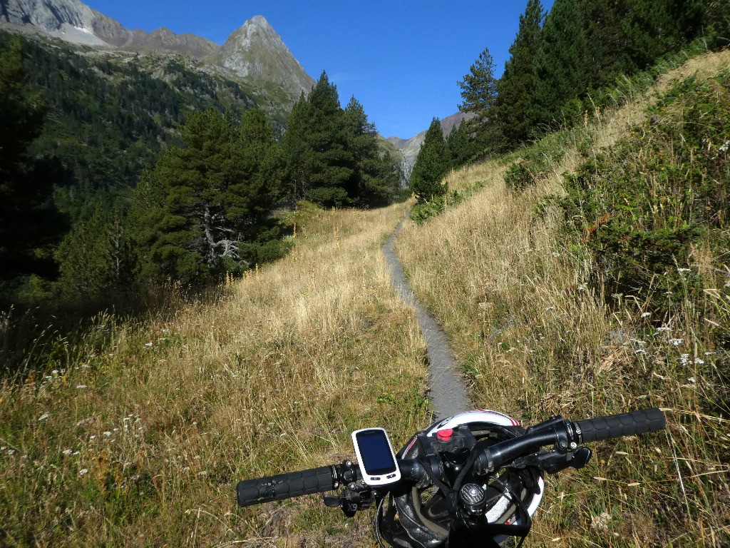 #26 Vallon d Vallon d'Estos