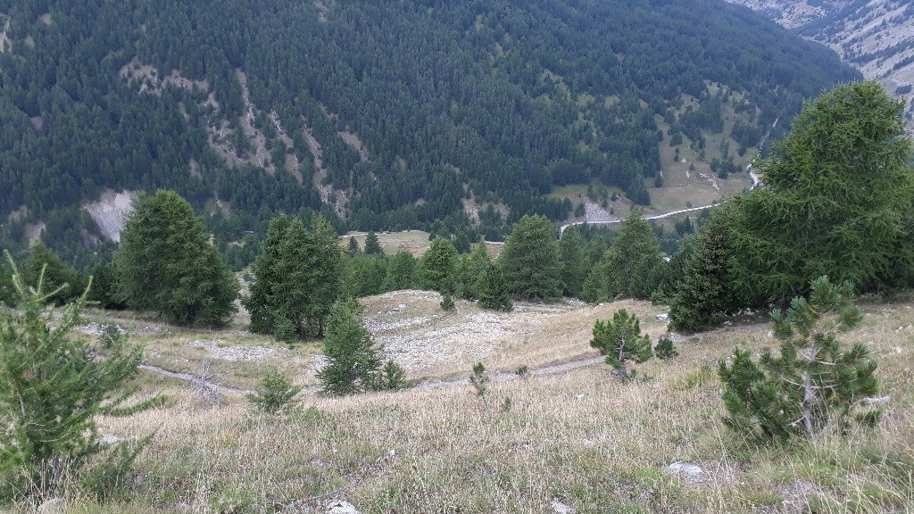 Single partie basse descente du col de Girabeau