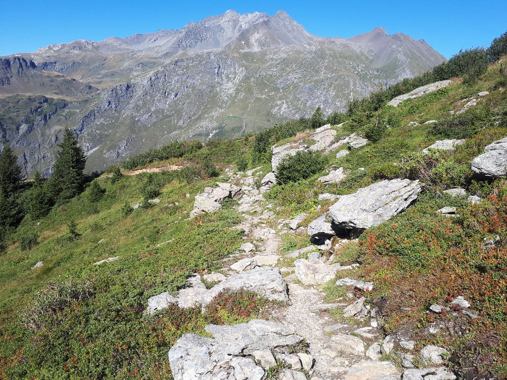 #19 Challenges sous le refuge Challenges sous le refuge